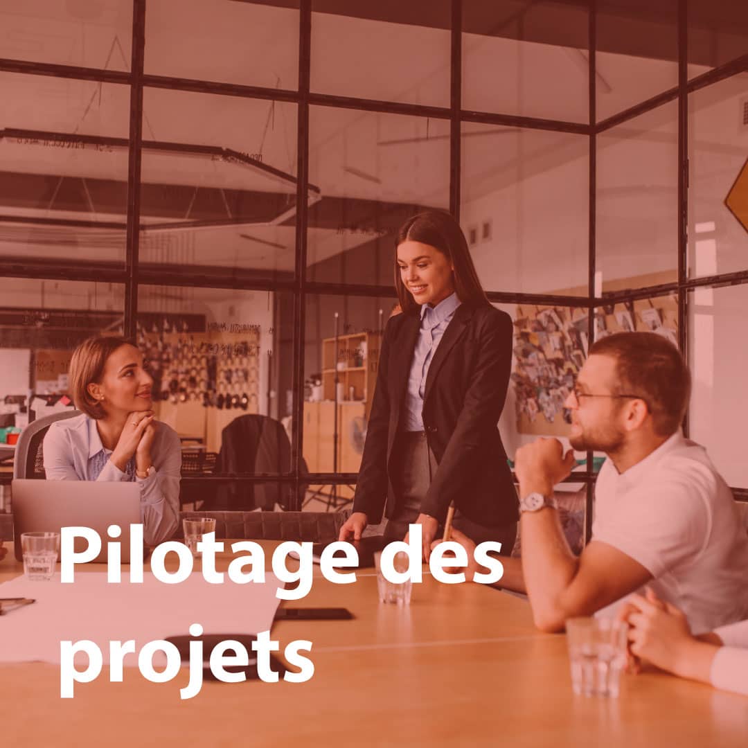 pilotage-des-projets-emilex